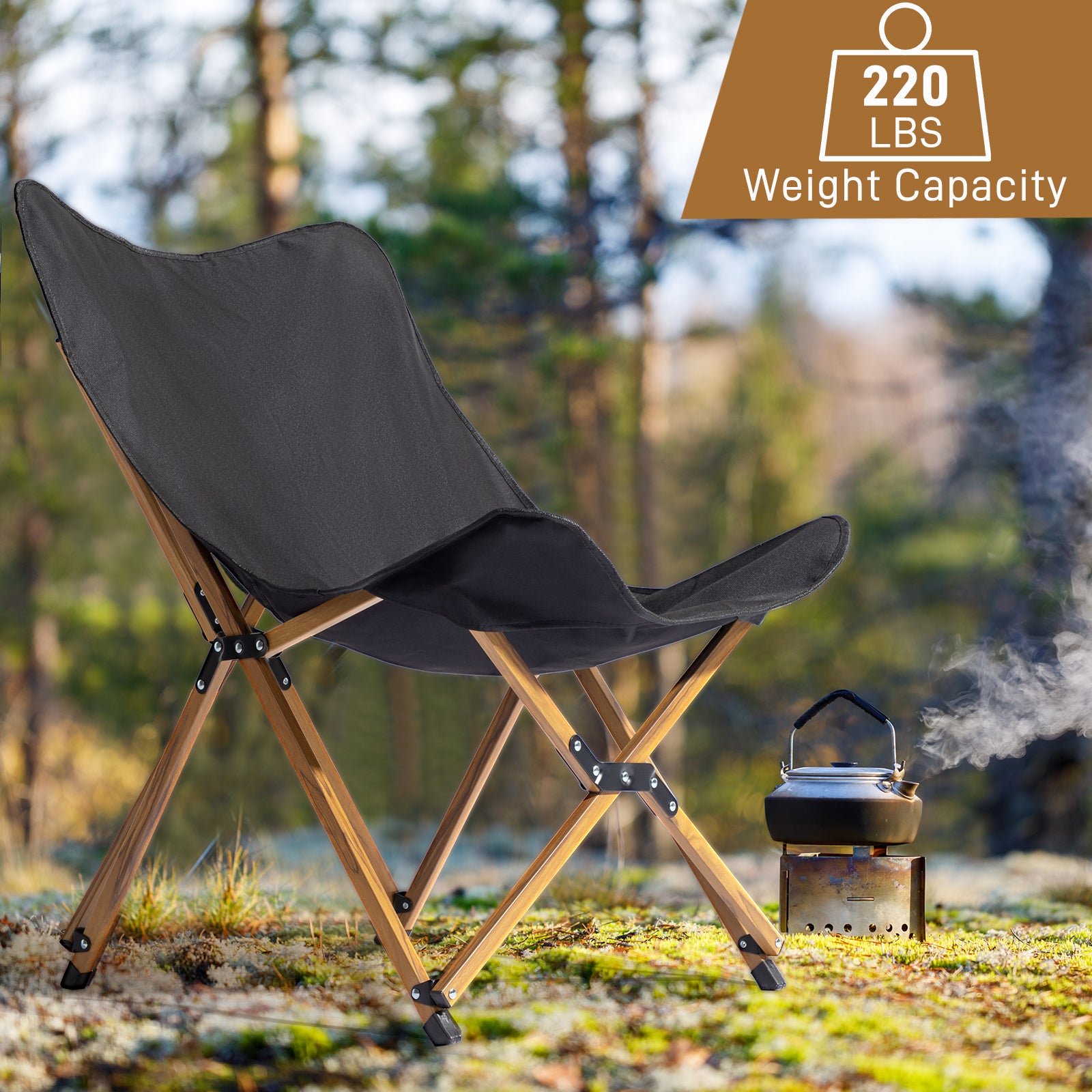 Sturdy and Reliable: Lightweight Folding Picnic Chair (Black) with 220lb Weight Limit